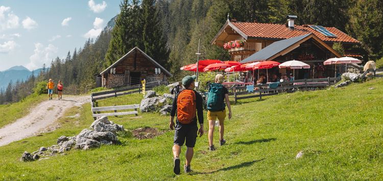 Scheffau_Wandern_Steiner_Hochalm