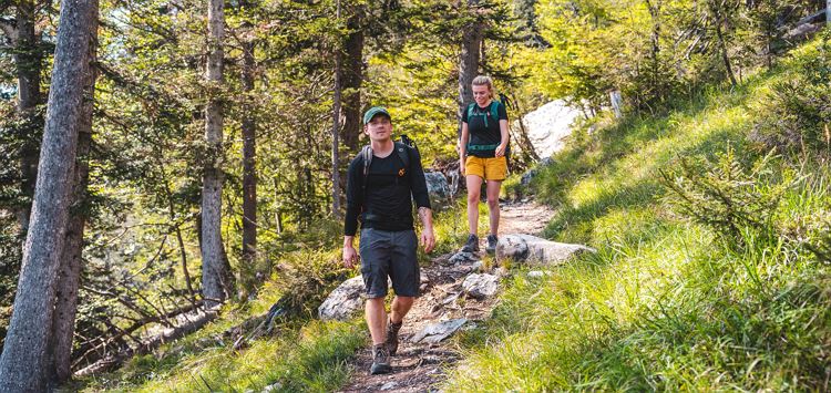 Scheffau_Wandern_Wald_Jagersteig