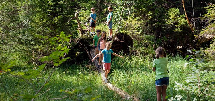 Scheffau_Familienprogramm_Kinder im Wald