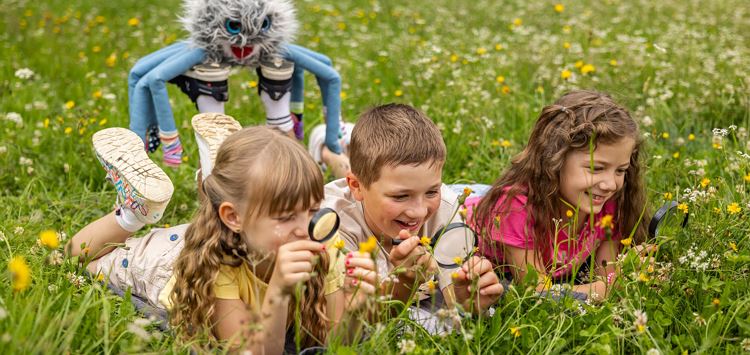 Scheffau_Familienprogramm_Spinne