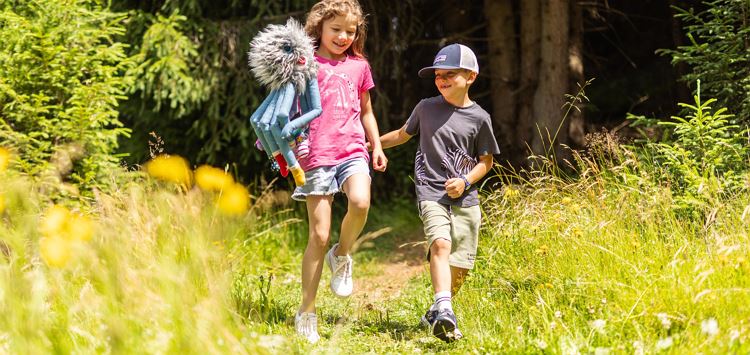 Scheffau_Familienprogramm_SpinneSpinnfried