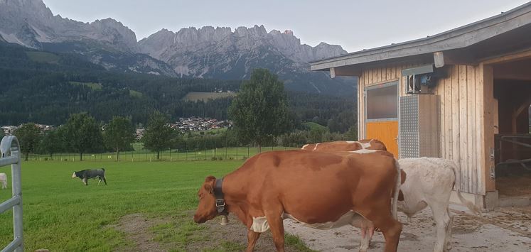 Stallung mit Auslauf