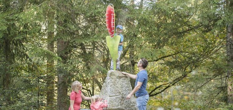 Moor & more Erlebniswelt