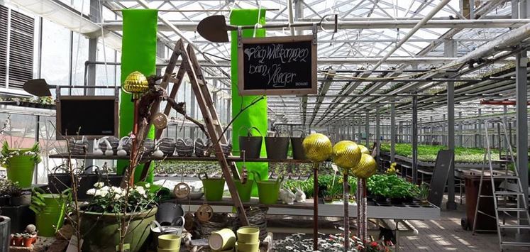 Söll_Gartenbau_Wilder Kaiser