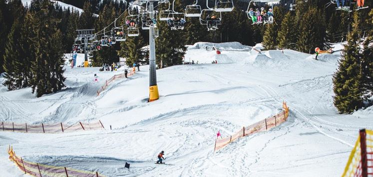 Bild4_Matthäus Gartner