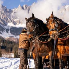 Pferdeschlittenfahrten Hechenberger