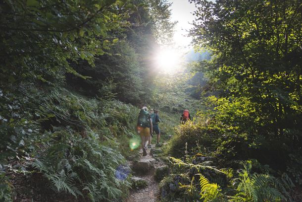 Kaiserkrone_Weitwanderweg_2023_Etappe3_MathäusGartner (49)_72dpi.jpg