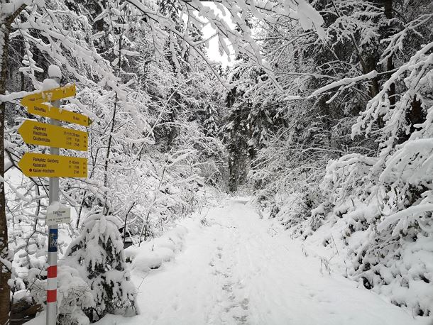 Scheffau_GlasklareBäche_Winterrunde_2021_TVB Wilder Kaiser (17).jpg