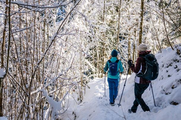 Wilder_Kaiser_Waldbaden_Winterwandern_Scheffau_Winter24_SabineHolaubek (49)klein.jpg