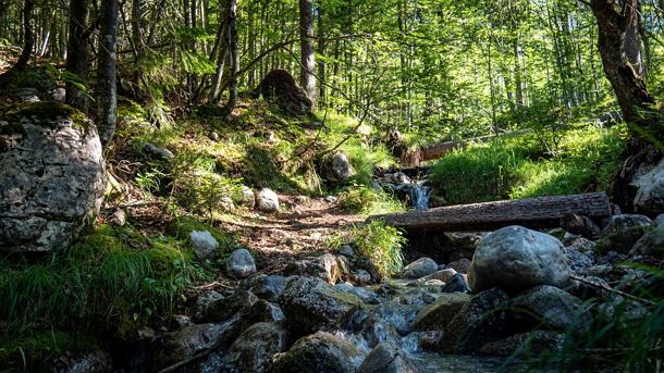 Spatlahner-Klamm/Gorge