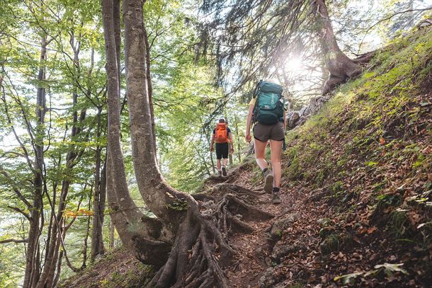 Kaiserkrone_Weitwanderweg_2023_Etappe2_MathäusGartner (17)_72dpi.jpg