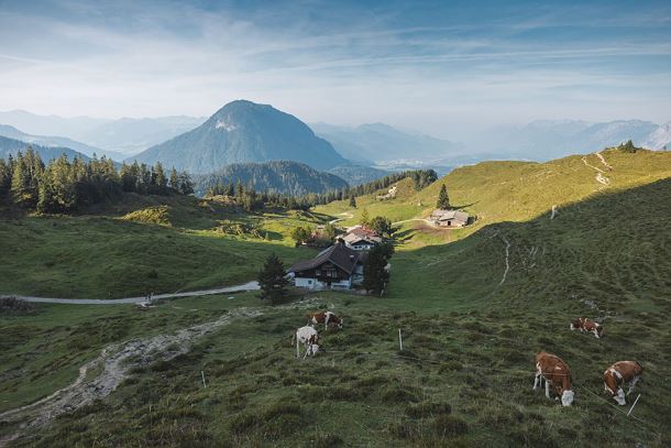 Walleralm_Sommer2023_Foto_MathäusGartner (124)_72dpi.jpg