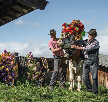 Cattle drive in Söll
