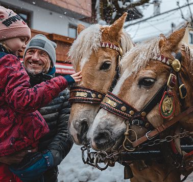 Horse-drawn sleigh ride