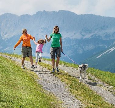 Responsible holidays with a dog