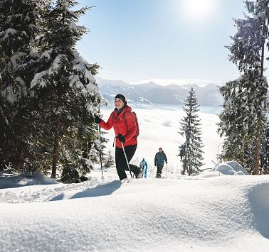Begeleide sneeuwschoen-wandelingen