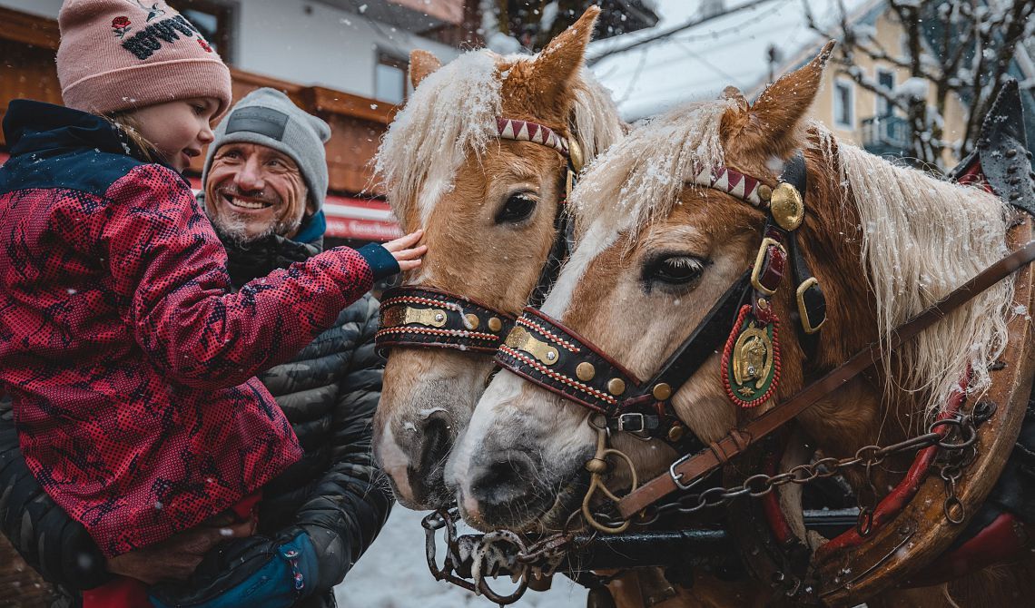 Paardenkoetsrit in de regio Wilder Kaiser